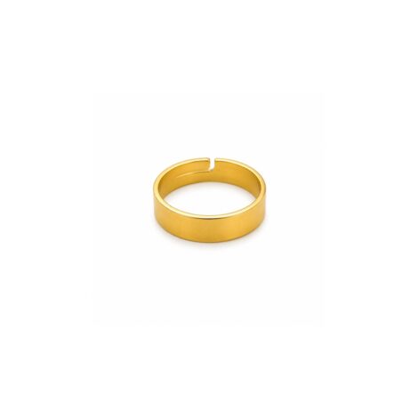 Anillo Liso