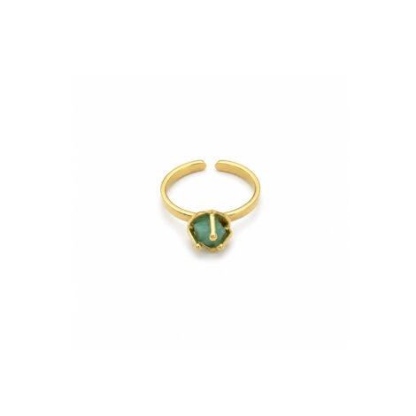 Anillo Primavera